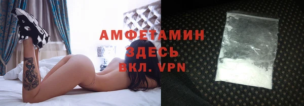 ешки Горняк