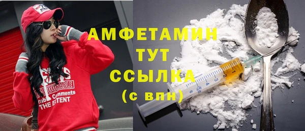 ешки Горняк