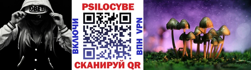 MEGA как зайти  Джанкой  Псилоцибиновые грибы мухоморы  продажа наркотиков 